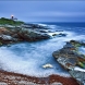 beavertail