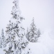 NEX-5T-DSC00846