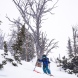 NEX-5T-DSC00540