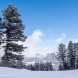 X-M5-DSCF4710