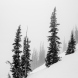X70-DSCF6985