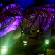 XF10-DSCF6528