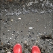 x100s-dscf0416