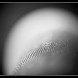 IMG_5872