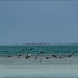 ILCE-6300DSC02797