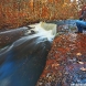 canon-eos-5d-mark-ii-img_0190