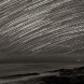 startrails2bw