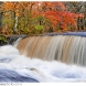 bbj_3566