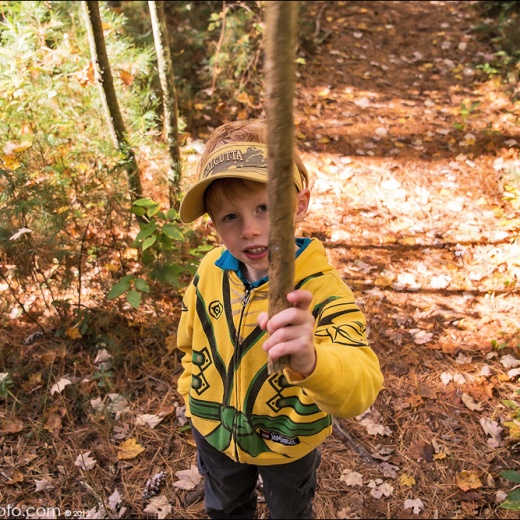 x-e1-dscf2397 x-e1-dscf2397