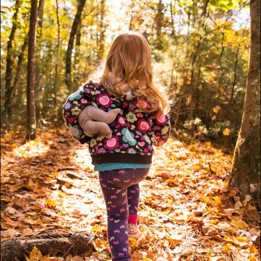 x-e1-dscf2406 x-e1-dscf2406