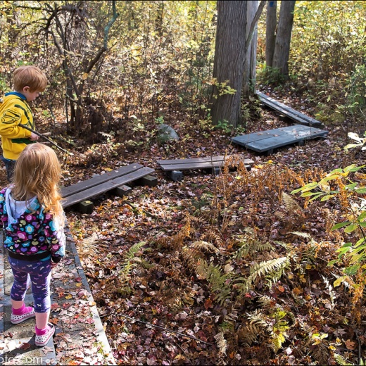 x-e1-dscf2425 x-e1-dscf2425