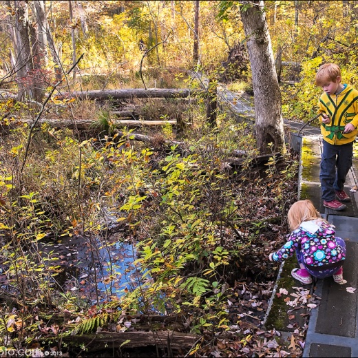 x-e1-dscf2442 x-e1-dscf2442