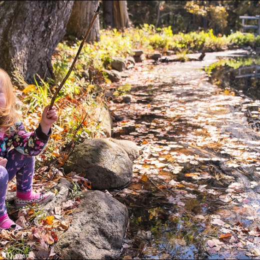 x-e1-dscf2498 x-e1-dscf2498