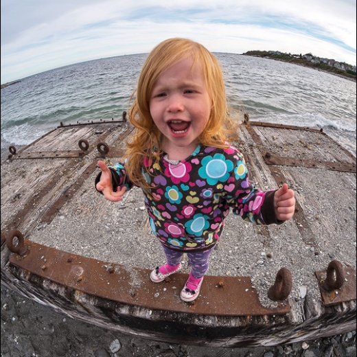 x-e1-s0012599 x-e1-s0012599