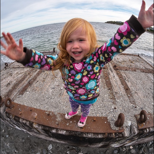 x-e1-s0012601 x-e1-s0012601