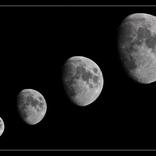 New Lens: Canon 300mm f4 IS L