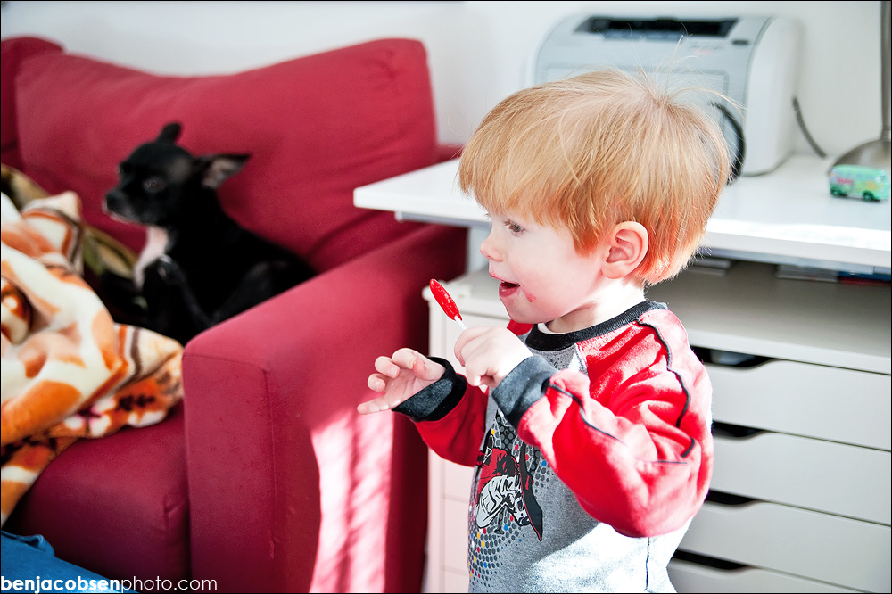 bbj_8410