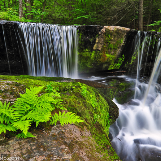 Enders State Forest 5.23.2010