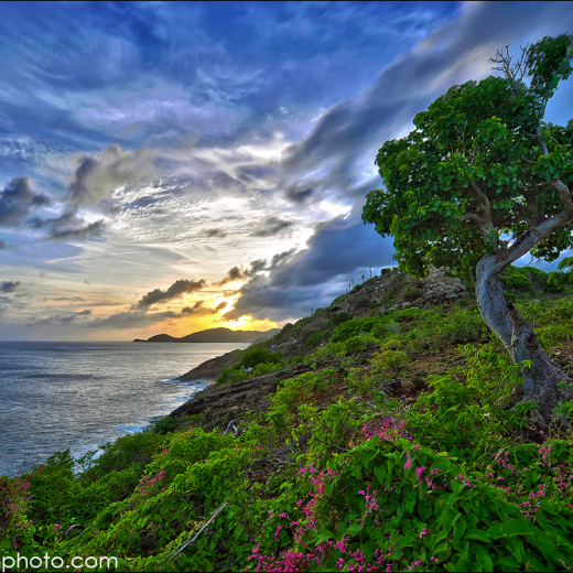 Antigua Scenic shots!