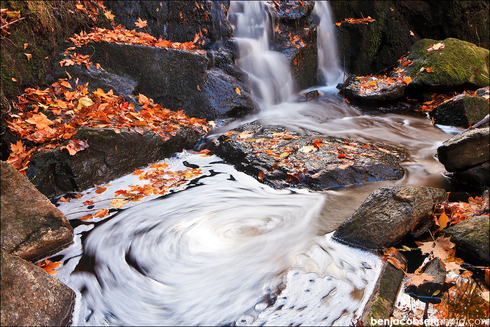 Canon EOS 7DIMG_8453
