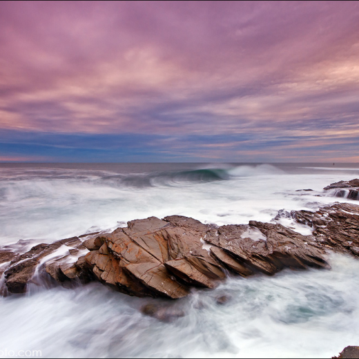 Beavertail 11.6.2010