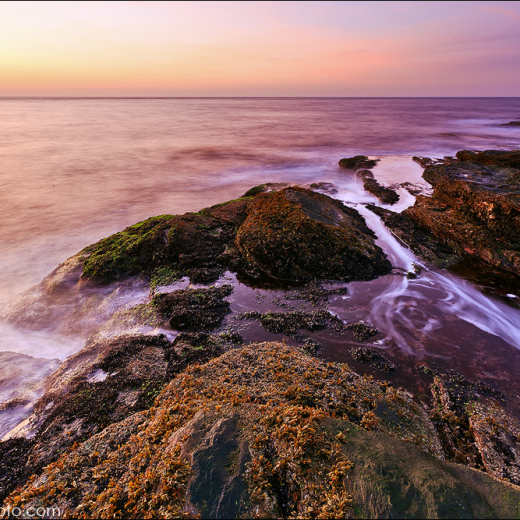 Beavertail 12.31.2010