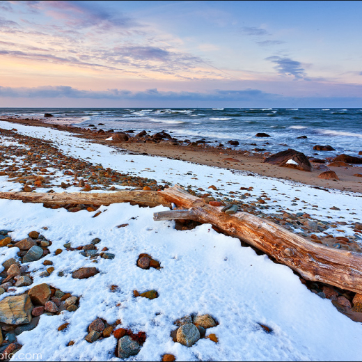 Gooseberry 1.16.2011