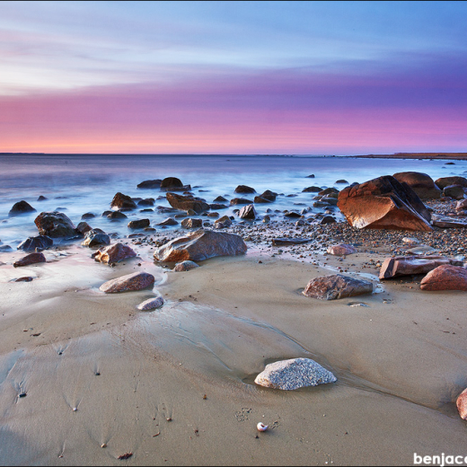 Gooseberry 2.26.2011