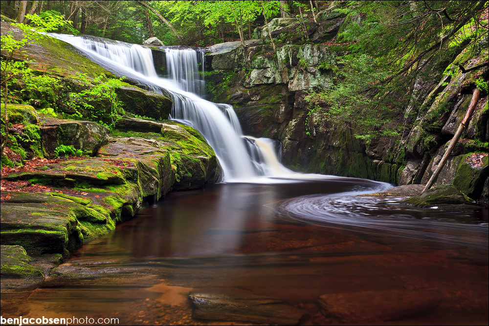 Canon EOS 5D Mark II-IMG_3031