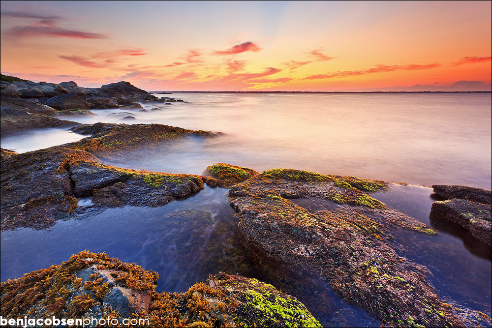 Canon EOS 5D Mark II-IMG_4567