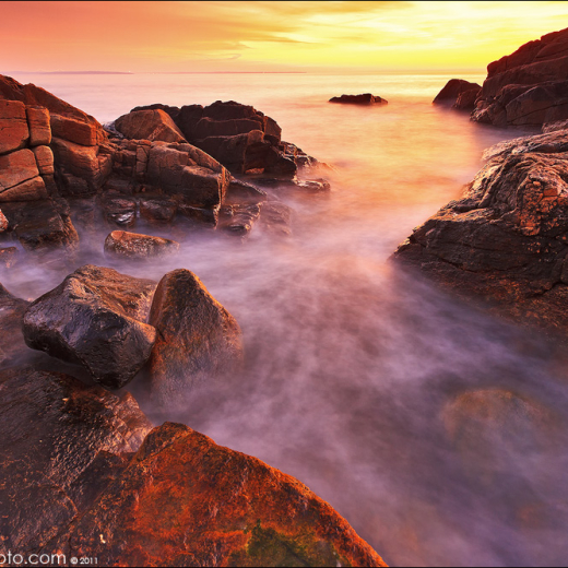 NSOPgiving Landscapes.