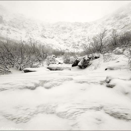 Tuckermans with SNOW!!!