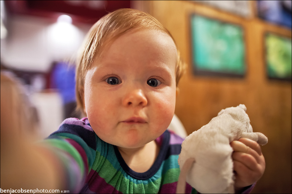 canon-eos-5d-mark-ii-img_5093
