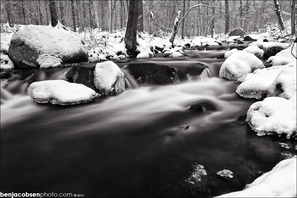 Canon EOS 5D Mark II-IMG_6753