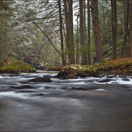 8 mile river 2.11.2012