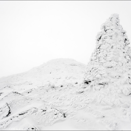 Tuckerman’s revisit…