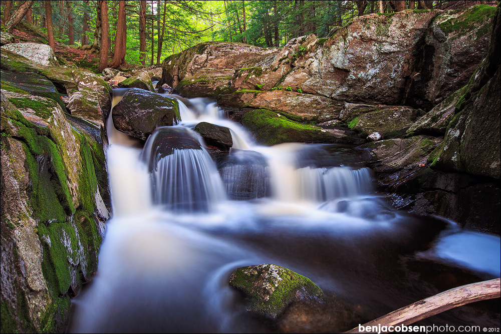 Canon EOS 5D Mark III-BJP_4494