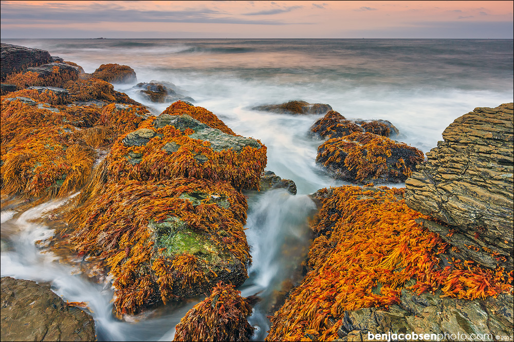 Canon EOS 5D Mark III-BJP_3570