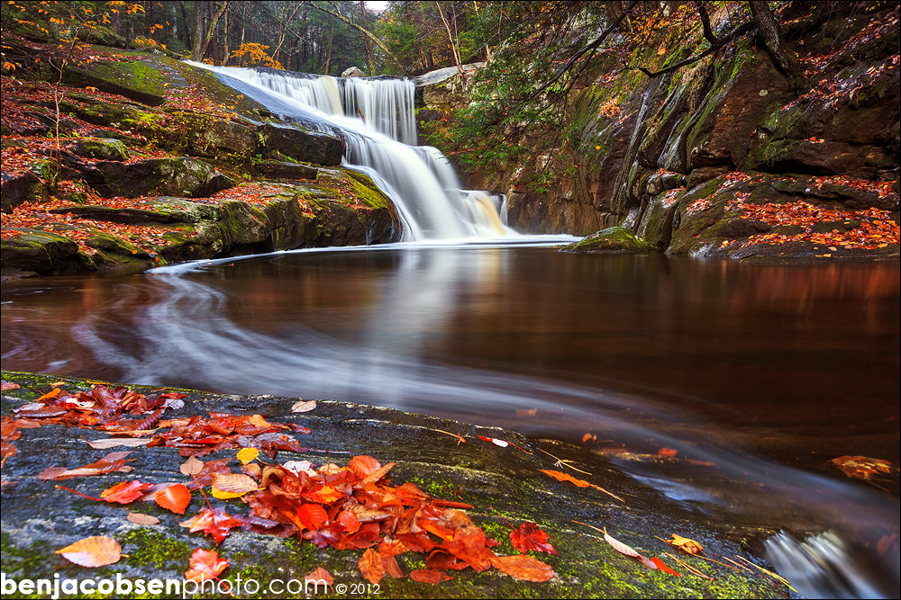 Canon EOS 5D Mark III-BJP_8186