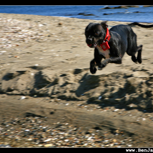 Labor Day weekend fun