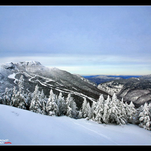 It must be getting close to Christmas!