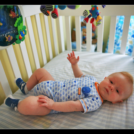 Elias week 17 update!