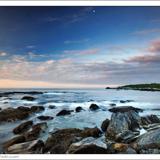 Sachuest Bird Sanctuary I