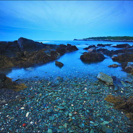 Sachuest Bird Sanctuary II