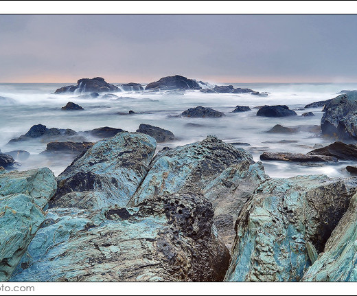 Sachuest Bird Sanctuary III