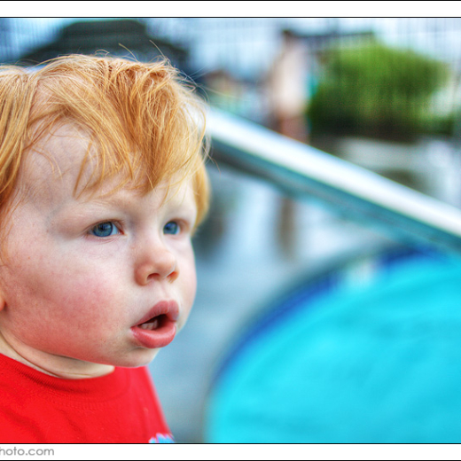 Elias week 74 update: