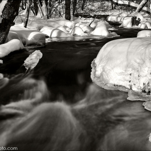 Stepping Stone with snow!