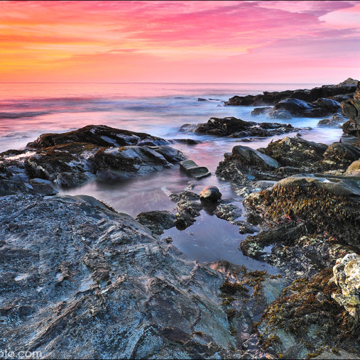 Beavertail 1.24.2010