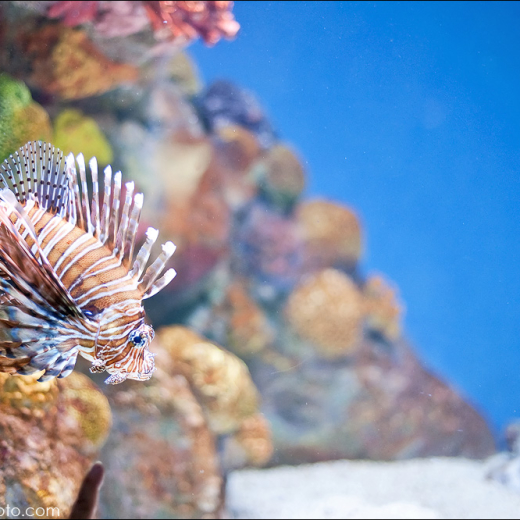 Happy Birthday to meeeeeeeee!!!