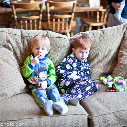 Not old gerbil, but new hamster!!!